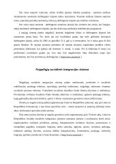 Neįgaliųjų socialinė apsauga 4 puslapis