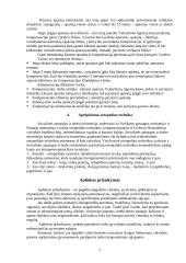 Neįgaliųjų vaikų integracija 2 puslapis