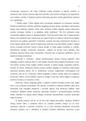 Neįgalumą turinčio asmens ir visuomenės santykis 5 puslapis