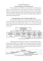 Nelaimingas atsitikimas darbe UAB "Autoremonta" 3 puslapis