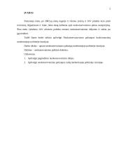 Neokonservatizmas 2 puslapis