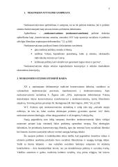 Neokonservatizmas 3 puslapis