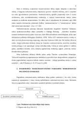 Neokonservatizmas 6 puslapis