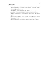 Neokonservatizmas 10 puslapis