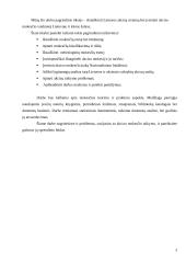 Netiesioginiai mokesčiai: akcizų vaidmuo ir reikšmė Lietuvoje ir kitose šalyse 3 puslapis