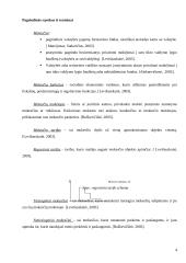 Netiesioginiai mokesčiai: akcizų vaidmuo ir reikšmė Lietuvoje ir kitose šalyse 4 puslapis