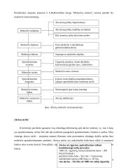Netiesioginiai mokesčiai: akcizų vaidmuo ir reikšmė Lietuvoje ir kitose šalyse 9 puslapis