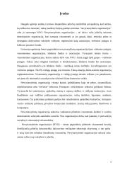 Nevyriausybinės organizacijos Lietuvoje 2 puslapis
