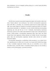 Nevyriausybinės organizacijos Lietuvoje 12 puslapis