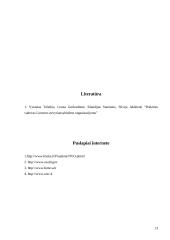 Nevyriausybinės organizacijos Lietuvoje 13 puslapis