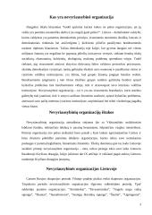 Nevyriausybinės organizacijos Lietuvoje 3 puslapis