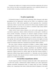 Nevyriausybinės organizacijos Lietuvoje 10 puslapis