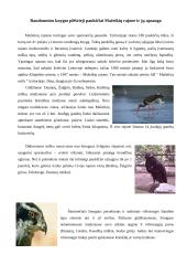 Nuodingųjų medžiagų apykaita ekosistemoje 7 puslapis