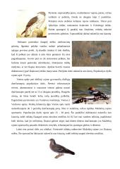 Nuodingųjų medžiagų apykaita ekosistemoje 8 puslapis