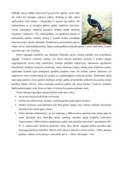 Nuodingųjų medžiagų apykaita ekosistemoje 9 puslapis
