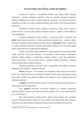 Nuosavybė ir jos ekonominės formos 3 puslapis