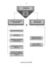 Nuosavybė ir jos ekonominės formos 10 puslapis