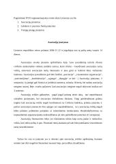 NVO veikla Lietuvoje 2 puslapis