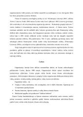 NVO veikla Lietuvoje 8 puslapis