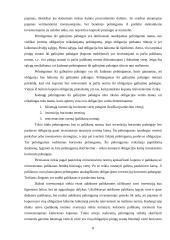 Obligacijų ir pinigų rinkos pelningumas 7 puslapis