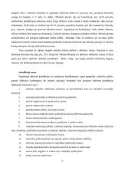 Ofšorinis verslas 11 puslapis