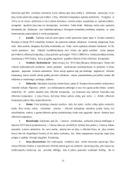 Ofšorinis verslas 15 puslapis