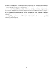 Ofšorinis verslas 16 puslapis