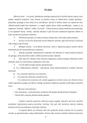 Ofšorinis verslas 17 puslapis