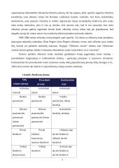 Ofšorinis verslas 5 puslapis