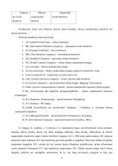 Ofšorinis verslas 6 puslapis