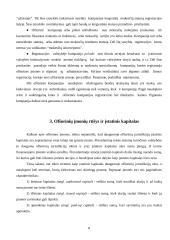 Ofšorinis verslas 8 puslapis