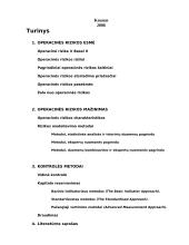 Operacinės rizikos turinys ir jos kontrolės metodai 2 puslapis