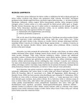 Operacinės rizikos turinys ir jos kontrolės metodai 3 puslapis