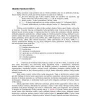 Operacinės rizikos turinys ir jos kontrolės metodai 4 puslapis