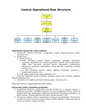 Operacinės rizikos turinys ir jos kontrolės metodai 7 puslapis