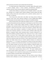 Oras, jo tarša ir apsauga 12 puslapis