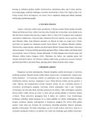 Oras, jo tarša ir apsauga 4 puslapis