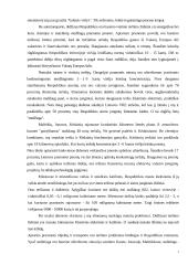 Oras, jo tarša ir apsauga 7 puslapis