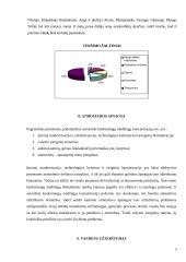 Oras, jo tarša ir apsauga 8 puslapis