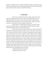 Organizacijos samprata 11 puslapis