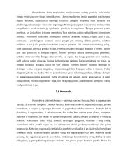 Organizacijos samprata 12 puslapis