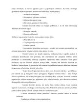 Organizacijos samprata 13 puslapis