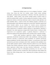 Organizacijos samprata 14 puslapis