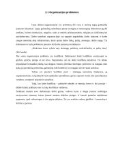 Organizacijos samprata 15 puslapis