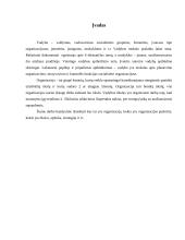 Organizacijos samprata 3 puslapis