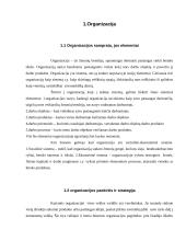 Organizacijos samprata 4 puslapis