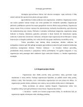 Organizacijos samprata 7 puslapis