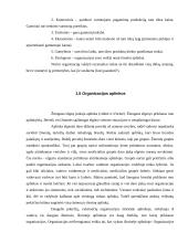 Organizacijos samprata 8 puslapis