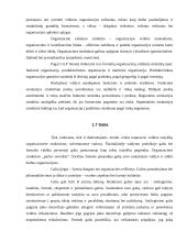 Organizacijos samprata 10 puslapis