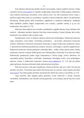 Organizacija ir jos informacijos poreikiai 11 puslapis